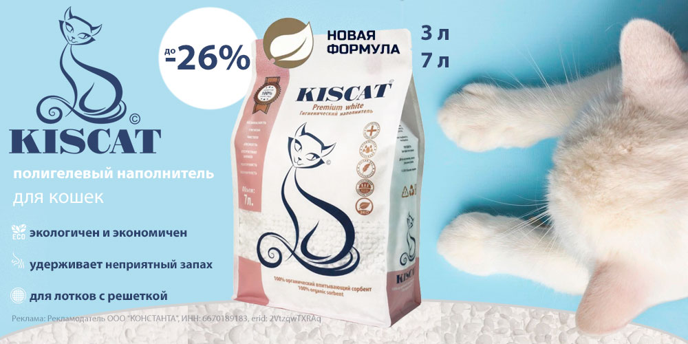 Акция на наполнитель для кошачьего туалета KISCAT! Скидка до 26%!