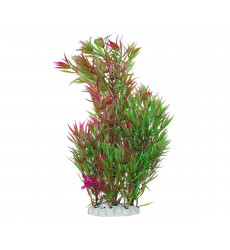 Растение Для Аквариума Уют Гетерантера Зелено-Фиолетовая 44см Вк604