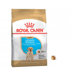 Сухой Корм Royal Canin (Роял Канин) Для Щенков Породы Лабрадор Ретривер Breed Health Nutrition Labrador Retriever Puppy 12кг