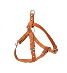 Шлейка Для Собак Corex (Корэкс) 70*60-90см*1,4см Средняя 1 Слой Кожа 2318-24011