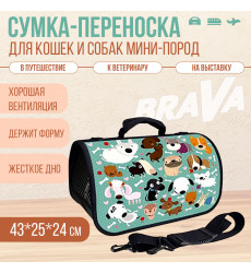 Сумка-Переноска Brava (Брава) Барбоскины Zd-3-86-322-2 43*25*24см