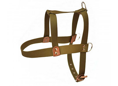 Шлейка Для Собак BraVa (Брава) 3,5см Брезент №35 Большая Арт409 