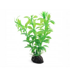 Растение Laguna (Лагуна) Гемиантус Зеленый 100мм 74044116