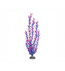 Растение Laguna (Лагуна) Людвигия Фиолетовая 100мм 74044202
