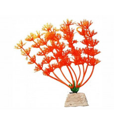 Растение Уют Амбулия Оранжевая 10см 40105