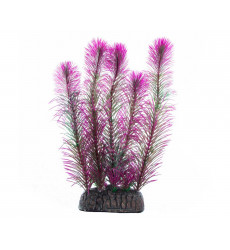 Растение Laguna (Лагуна) Перистолистник Фиолетовый 200мм 74044246