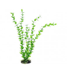 Растение Barbus (Барбус) Plant Бакопа Зеленая 10см Пластик 160987