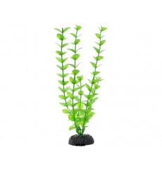Растение Barbus (Барбус) Plant Бакопа Зеленая 20см Пластик 160994