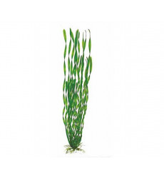 Растение Barbus (Барбус) Plant 014/10 Валиснерия Спиральная 10см Пластик 161144