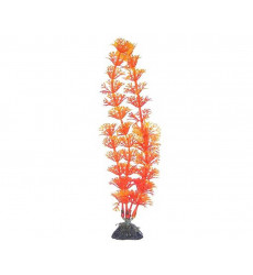Растение Naribo (Нарибо) Амбулия Оранжевая 20см Nr-Jj8-1502 Пластик