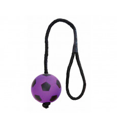Игрушка Для Собак Trixie (Трикси) Мяч с Веревкой 6*30см 3459