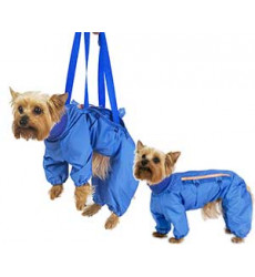 Комбинезон Для Собак Породы Йоркширский Терьер Тузик Зима Переноска Йорк №1 Девочка