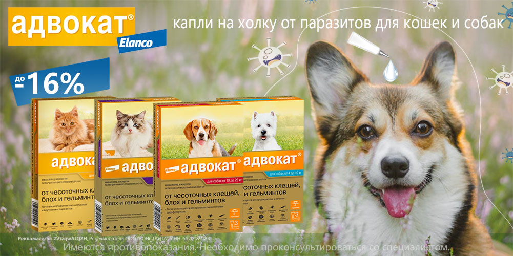 Акция на капли на холку Адвокат для кошек и собак от ELANCO. Скидка до 16%