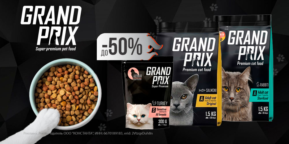 Акция на сухой корм для кошек Grand Prix! Скидка до 50%!