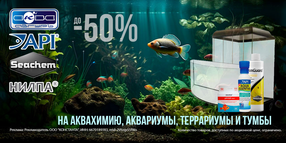 Акция на аквахимию, аквариумы, террариумы и тумбы под аквариум! Скидка до 50%!