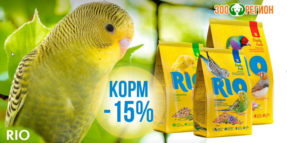 Акция на корм RIO для попугаев, канареек и экзотов. Скидка 15%!