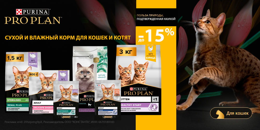 Акция на корм PRO PLAN для кошек и котят. Скидка до 15%