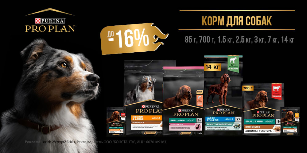 Акция на корм для собак PRO PLAN. Скидка до 16%