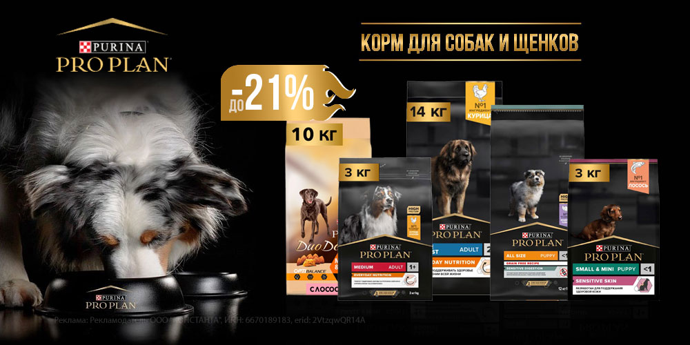 Акция на корм для собак и щенков PROPLAN! Скидка до 21%!