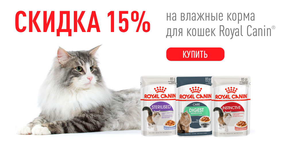 Акция на влажный корм для кошек Royal Canin! Скидка 15%!