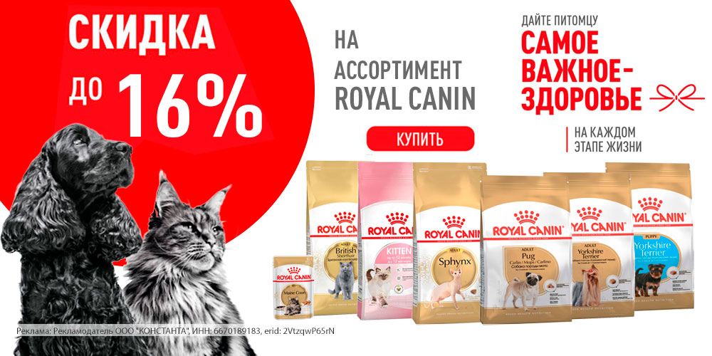 Акция на корм ROYAL CANIN для породистых кошек и собак, котят и щенков! Скидка до 16%!