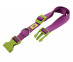 Ошейник Для Собак Мелких Пород Ferplast (Ферпласт) Club Colours С 23-32см 1см 10/32 Фиалковый  