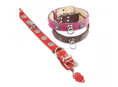 Ошейник Для Собак Dogger (Доггер) 55-70см*4см Фурнитура Цветной /Цк О400401ц 