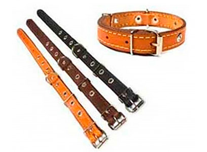 Ошейник Для Собак Брава №12 Искусственный Матовый Украшенный Арт659 