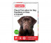 Beaphar (Беафар) Flea & Tick Collar Ошейник От Блох и Клещей Для Собак Зеленый 10196  
