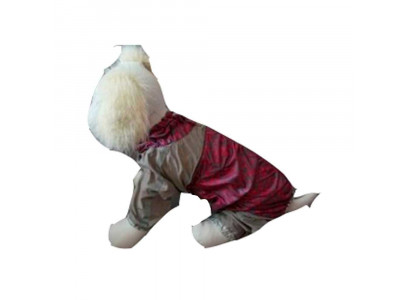 Дождевик Для Собак Мелких Пород Размеров Pet Fashion (Пэт Фэшн) Ля Мур Дымчатый 10 Девочка