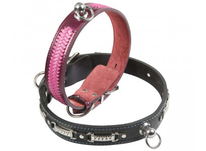 Ошейник Для Собак Dogger (Доггер) 75-80см*4,5см с Фурнитурой ЦК О450411с  