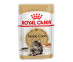 Влажный Корм Royal Canin (Роял Канин) Для Крупных Кошек Породы Мейн-Кун Feline Breed Nutrition Maine Coon Wet 85г 