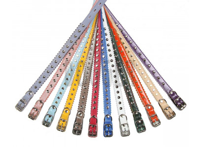 Ошейник Для Собак Dogger (Доггер) 1,5см Фурнитура Цветной О150400ц