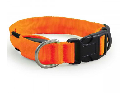 Ошейник Светящийся Для Собак Мелких Пород Buddy (Бадди) 2*23-31см Оранжевый Jpf-509/Hfc-002xs