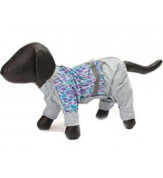 Дождевик Для Собак Породы Йоркширский Терьер Шпиц 30см Зоофортуна Мальчик 157730