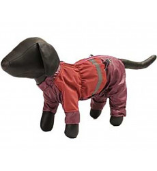 Дождевик Для Собак Породы Пекинес 40см Зоофортуна Мальчик 267740