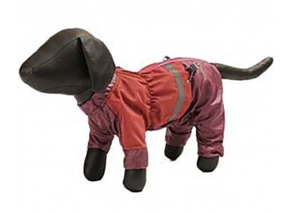 Дождевик Для Собак Породы Пекинес 40см Зоофортуна Девочка 268840