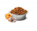  495_39_bowl-nd-pumpkin-herring 