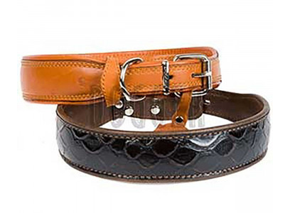 Ошейник Для Собак Dogger (Доггер) 35мм Расширенный Подвернутый Фурнитура Цветной О351300ц