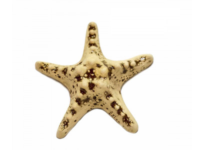 Аквадекор Для Аквариума Звезда 11*11*4см Керамика Аква Лого Gg-810080