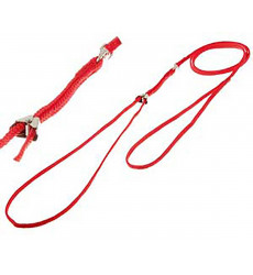 Ринговка Для Собак Hello Pet (Хелло Пет) с Прищепкой 0,5*115см Красная Peq-05r