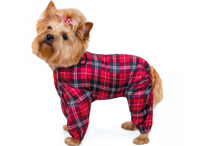 Комбинезон-Дождевик Для Собак Миниатюрных Пород Гамма Йорк 22см