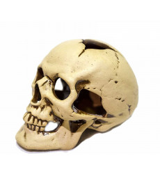 Грот Для Аквариума Череп Средний 14*9*9,5см Аква-Лого Gg-810097