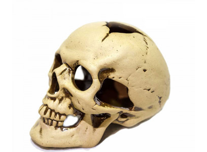 Грот Для Аквариума Череп Средний 14*9*9,5см Аква-Лого Gg-810097