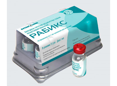 Рабикс Вакцина Против Бешенства Для Собак 
