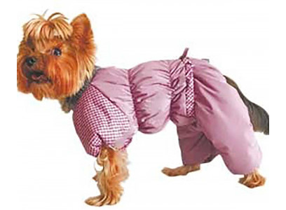 Комбинезон Для Собак Мелких Пород Тузик Синтепон и Вельбоа №1 Мальчик