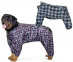 Комбинезон Для Собак Породы Ротвейлер 62см Демисезоннный Гамма Универсал 
