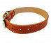 Ошейник Для Собак BraVa (Брава) 2,5см №25 2слоя Не Украшенный Арт041 
