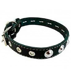 Ошейник Для Собак Брава №25 2 Слоя Украшенный Арт044