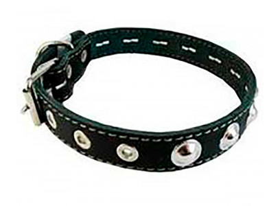 Ошейник Для Собак Брава №25 2 Слоя Украшенный Арт044
